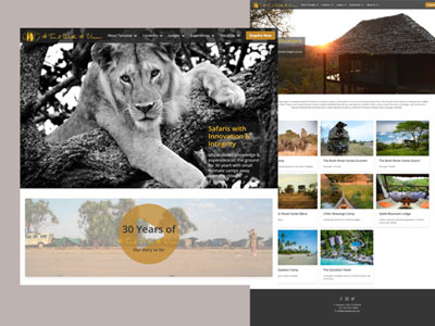 A Tent with a View Safaris - Website and Logo Update